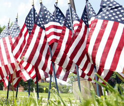 Memoria Day Flags